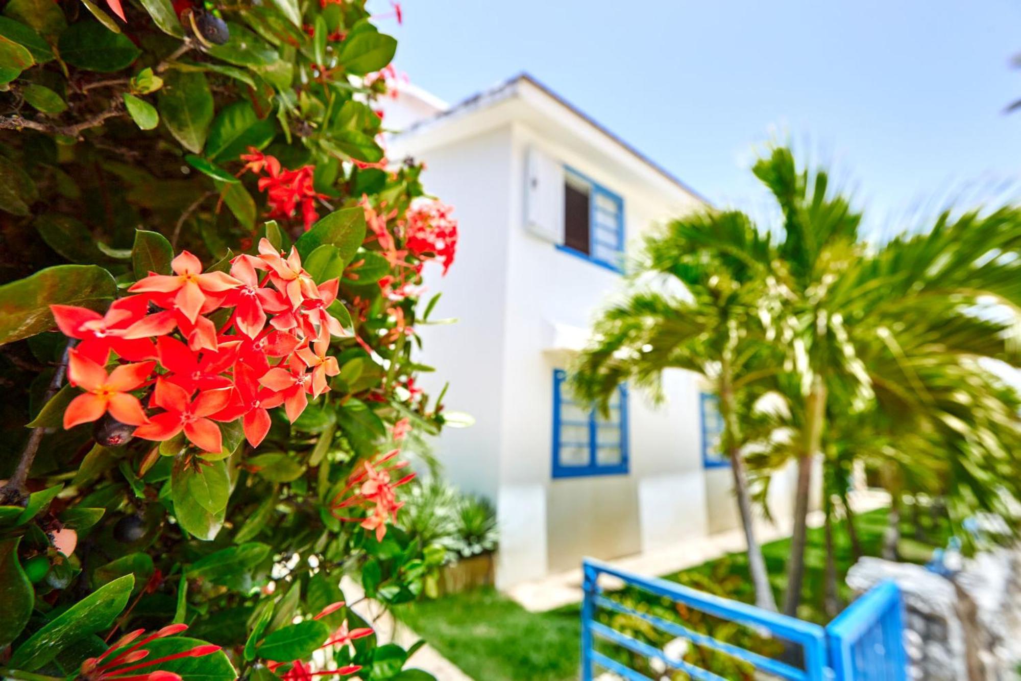 La Flor Del Caribe Beach & Spa Punta Cana Phòng bức ảnh