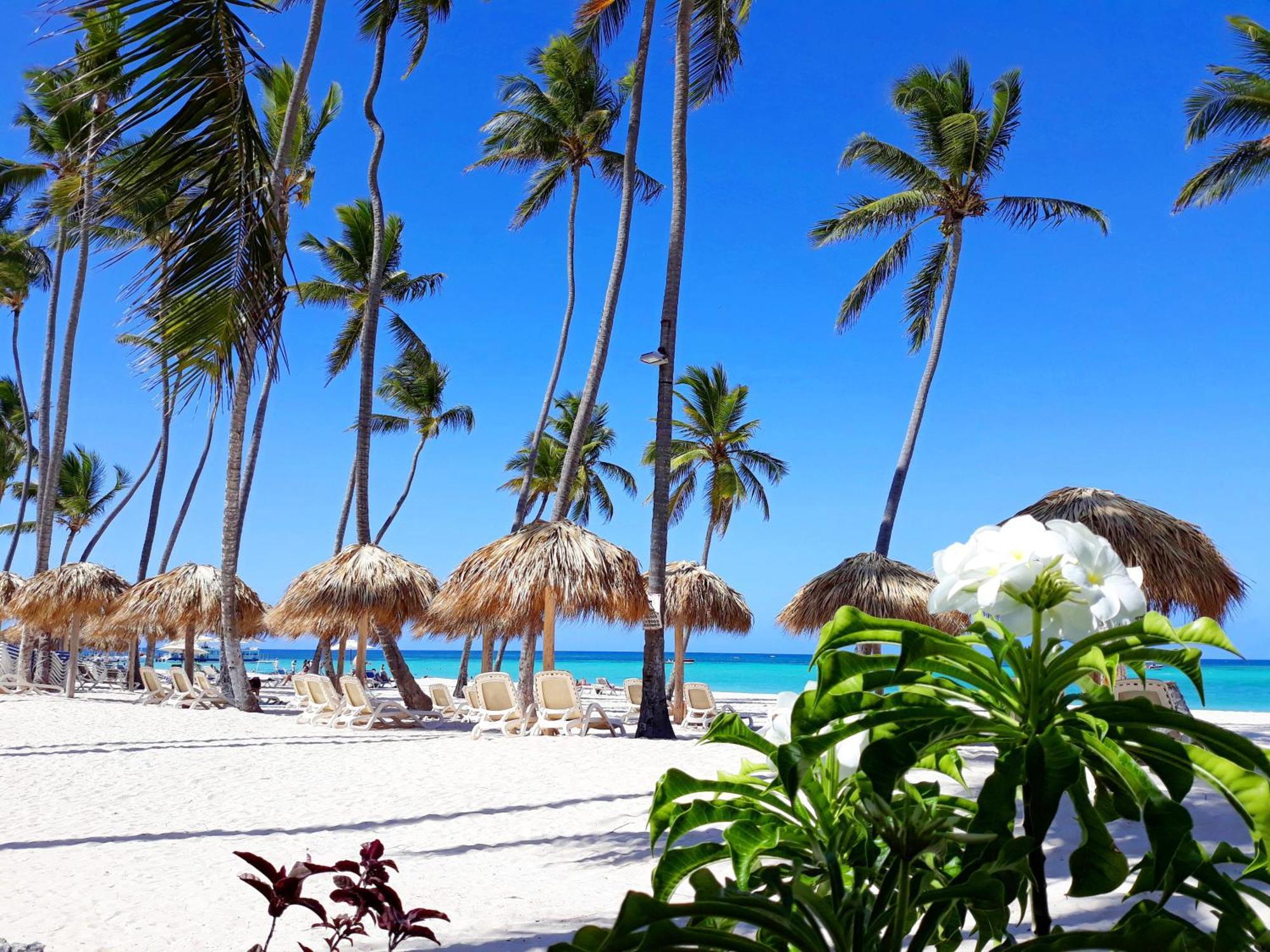 La Flor Del Caribe Beach & Spa Punta Cana Phòng bức ảnh
